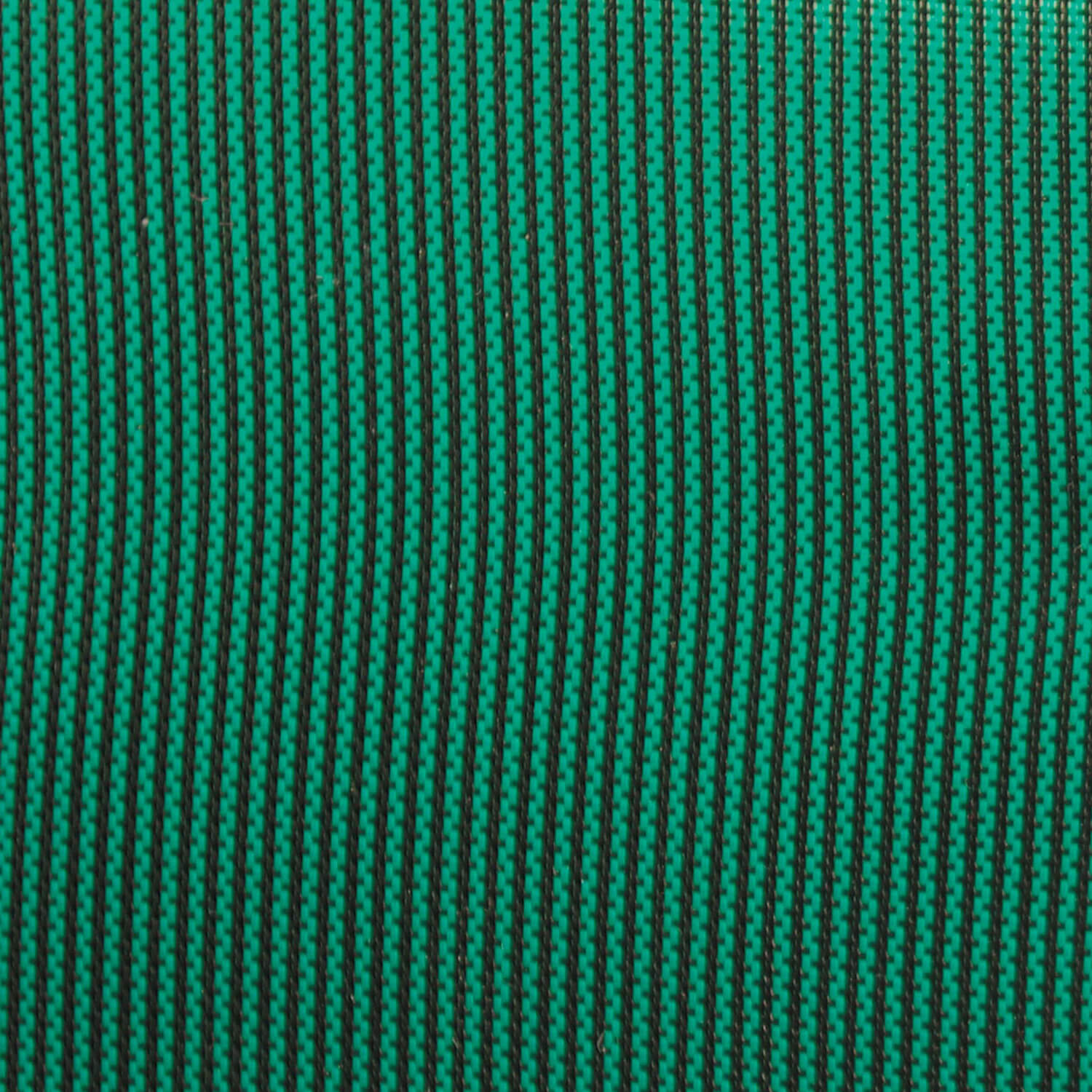 Daisy WinterKleen Green