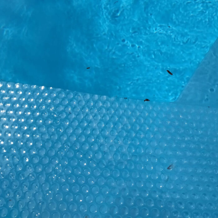 ABGAL Oasis Clarity Solar Pool Cover - Image 2