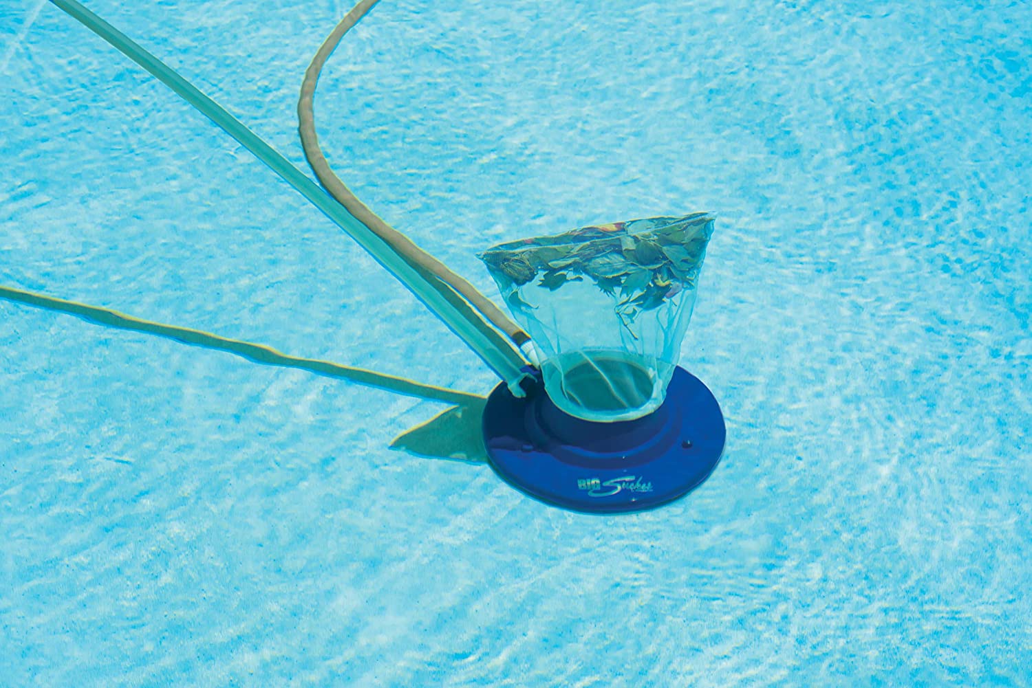 81oxSXi9LRL._AC_SL1500_ Photo for the Trident Robotic Pool Cleaners blog post. Shop at Swimart.