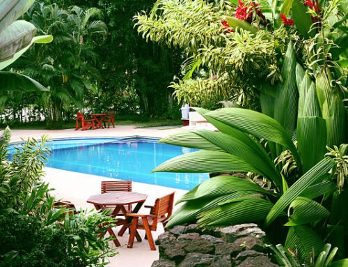 Create 3 inviting poolside gardens