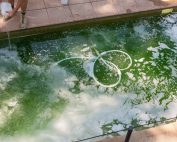 Photo For The Olympic Green Pool Fiasco