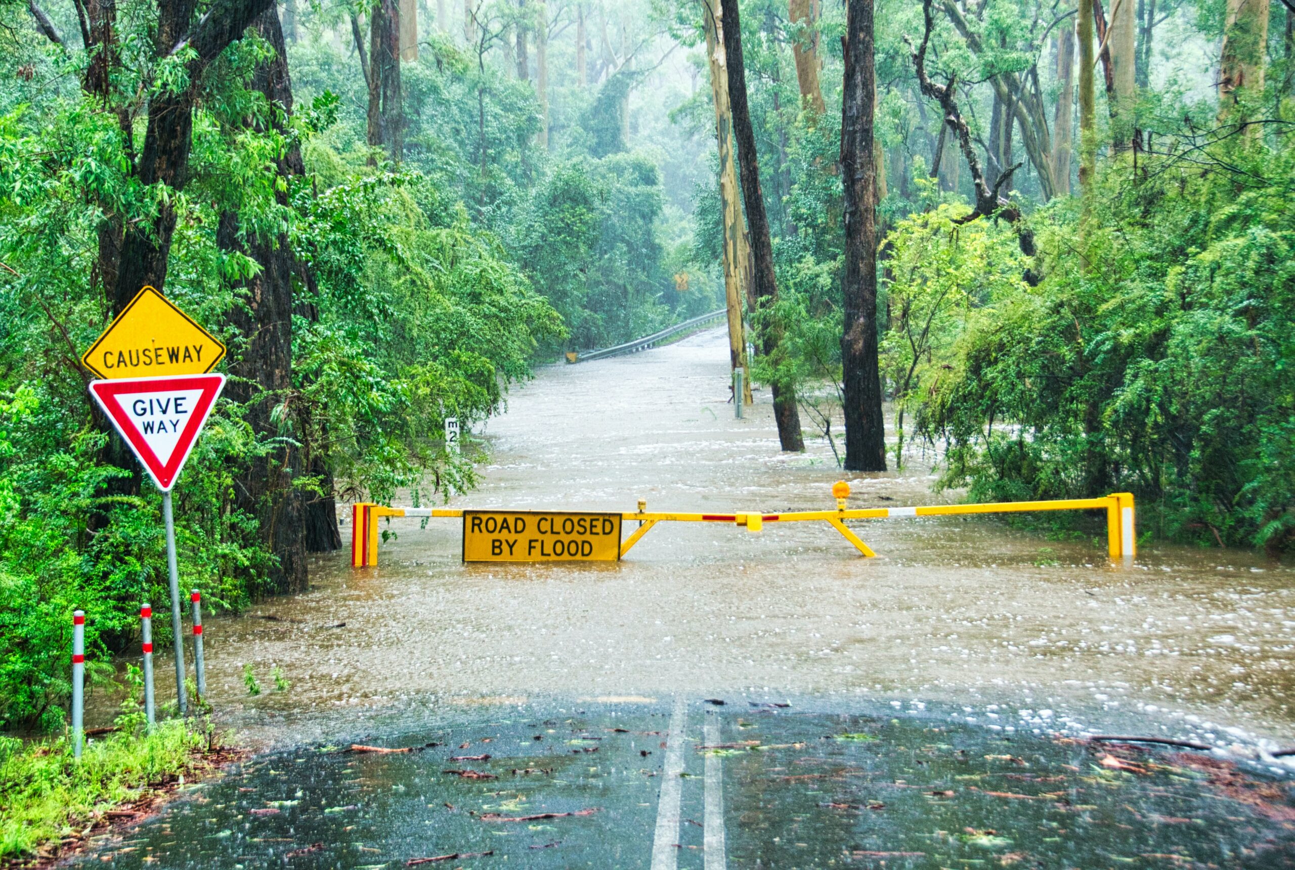 phillip-flores-38wqGW802RM-unsplash-scaled Photo for the Your Guide To Restoring Flood Affected Pools by Swimart.