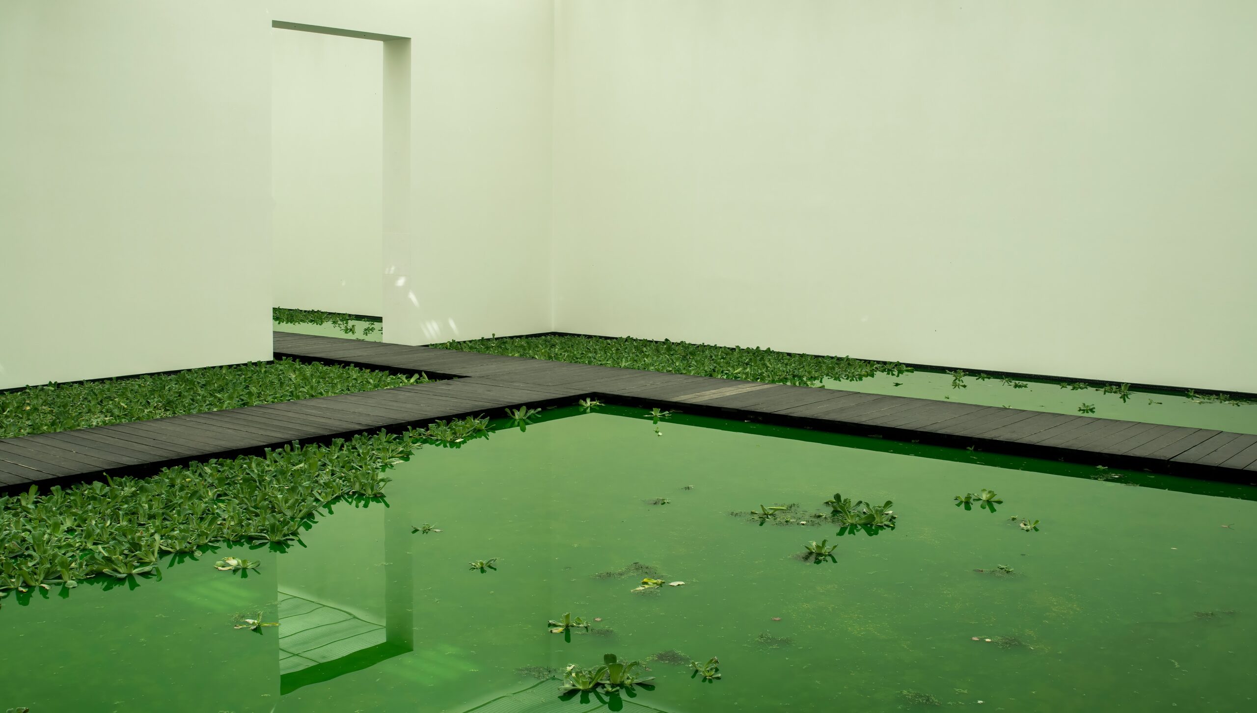 Photo foe the Fix Green Murky Swimming Pool Water Swimart DIY Tip