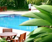 Photo For The Swimart Create A Resort In Your Backyard Pool DIY Tips